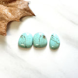 Medium Faint Green Freeform Number 8 Turquoise, Set of 3 Background
