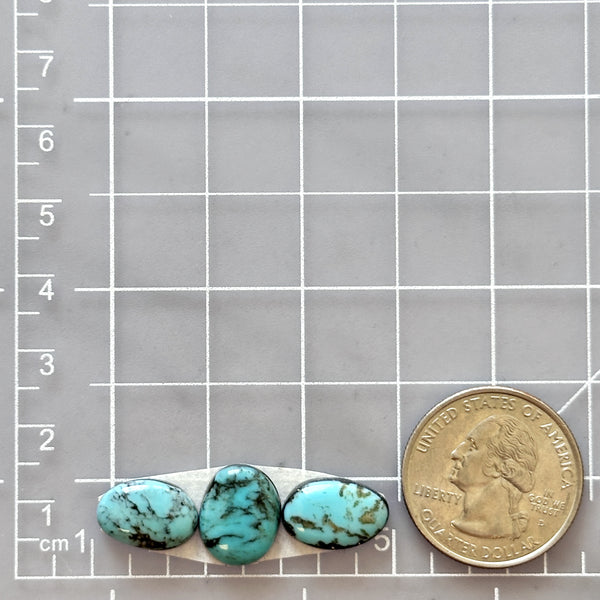Small Sky Blue Freeform Prince Egyptian Turquoise, Set of 3 Dimensions