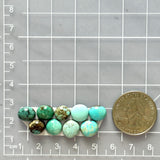 Small Mixed Mixed Mixed Turquoise, Set of 9 Dimensions