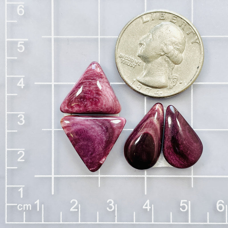 Medium Purple Mixed Spiny Oyster, Set of 4 Dimensions