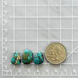 Small Ocean Blue Freeform Number 8 Turquoise, Set of 3 Dimensions