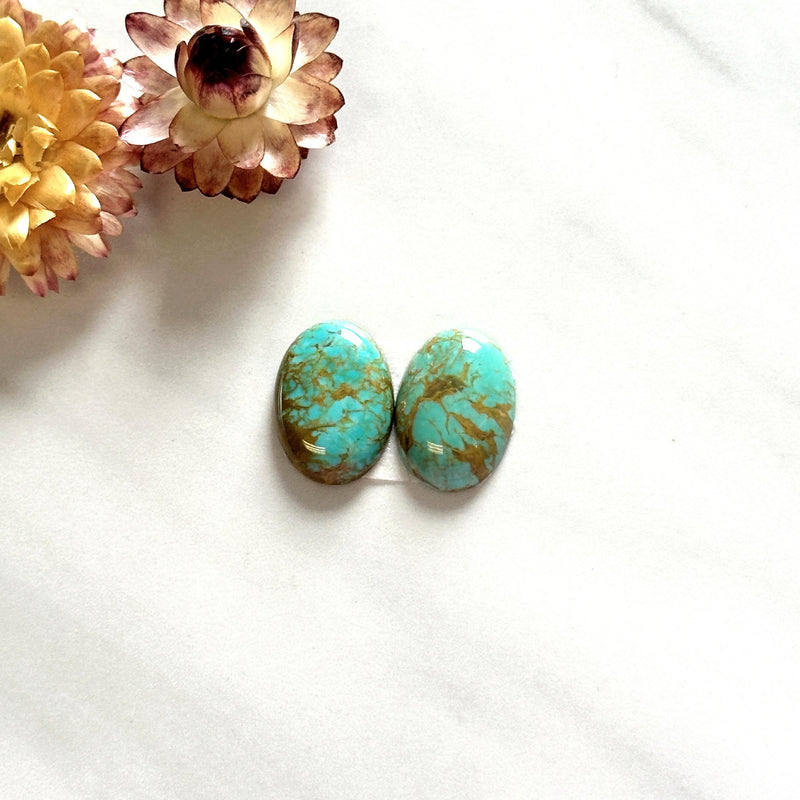 Small Mint Green Oval Tyrone Turquoise, Set of 2 Background