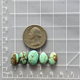 Small Faint Green Mixed Kingman Turquoise, Set of 5 Dimensions