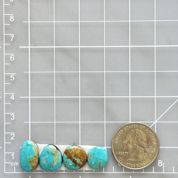Small Sky Blue Freeform Royston Turquoise, Set of 4 Dimensions