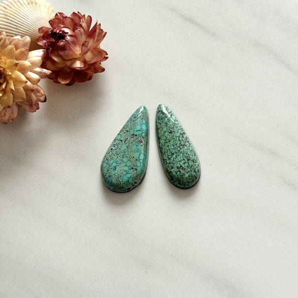 Large Sky Blue Teardrop Crescent Lake Variscite, Set of 2 Background