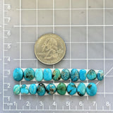Small Mixed Mixed Fox Turquoise, Set of 19 Dimensions