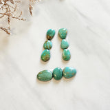 Medium Sea Green Mixed Carico Lake Turquoise, Set of 9 Background