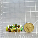 Small Mixed Mixed Mixed Turquoise, Set of 12 Dimensions