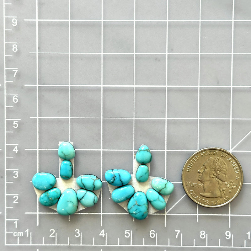 Small Sky Blue Mixed Lone Mountain Turquoise, Set of 14 Dimensions