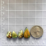Small Earth Brown Mixed Treasure Mountain Turquoise, Set of 4 Dimensions