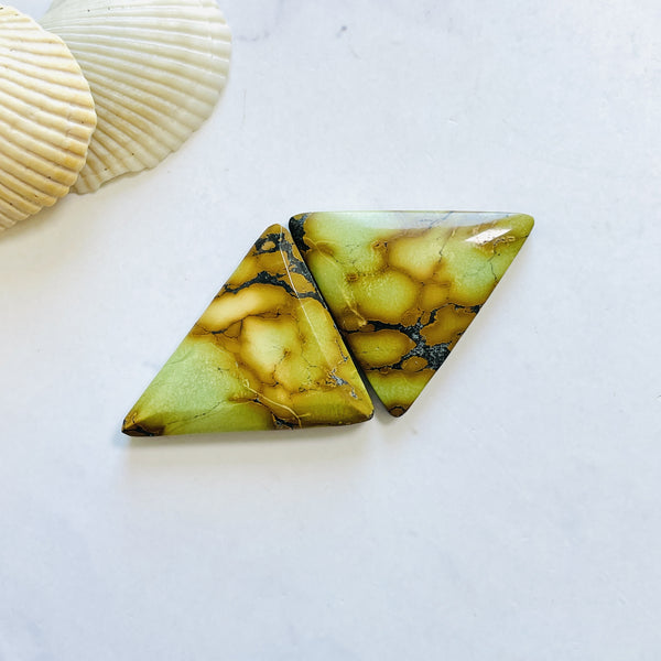 Large Sea Green Triangle Golden Birch Turquoise, Set of 2 Background