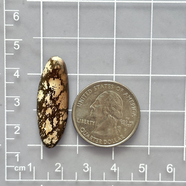 Large Earth Brown Surfboard Treasure Mountain Turquoise Dimensions
