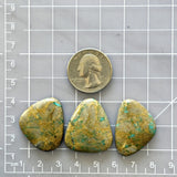 Large Deep Green Freeform Royston Turquoise, Set of 3 Dimensions