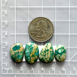 Medium Deep Green Mixed Fox Turquoise, Set of 4 Dimensions