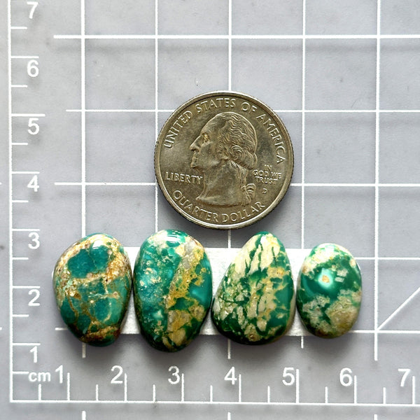 Medium Deep Green Mixed Fox Turquoise, Set of 4 Dimensions