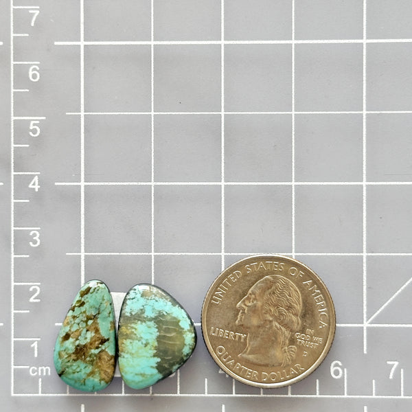 Medium Faint Green Mixed Carico Lake Turquoise, Set of 2 Dimensions