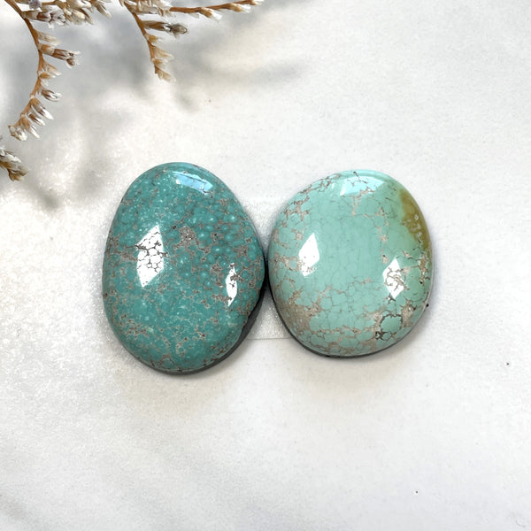 Medium Mixed Freeform Carico Lake Turquoise, Set of 2 Background