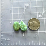 Large Bamboo Green Mixed Bamboo Mountain Turquoise, Set of 2 Dimensions