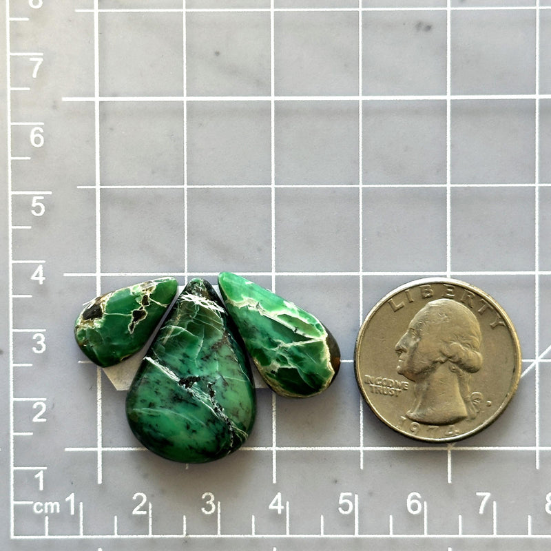 Medium Sea Green Teardrop Crescent Lake Variscite, Set of 3 Dimensions