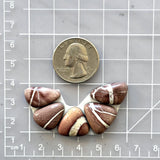 Small Red Mixed White Buffalo Dolomite, Set of 5 Dimensions