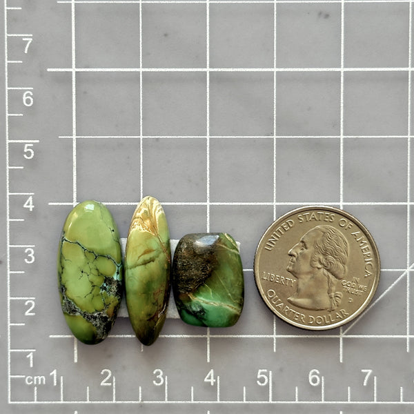 Medium Sea Green Mixed Crescent Lake Variscite, Set of 3 Dimensions