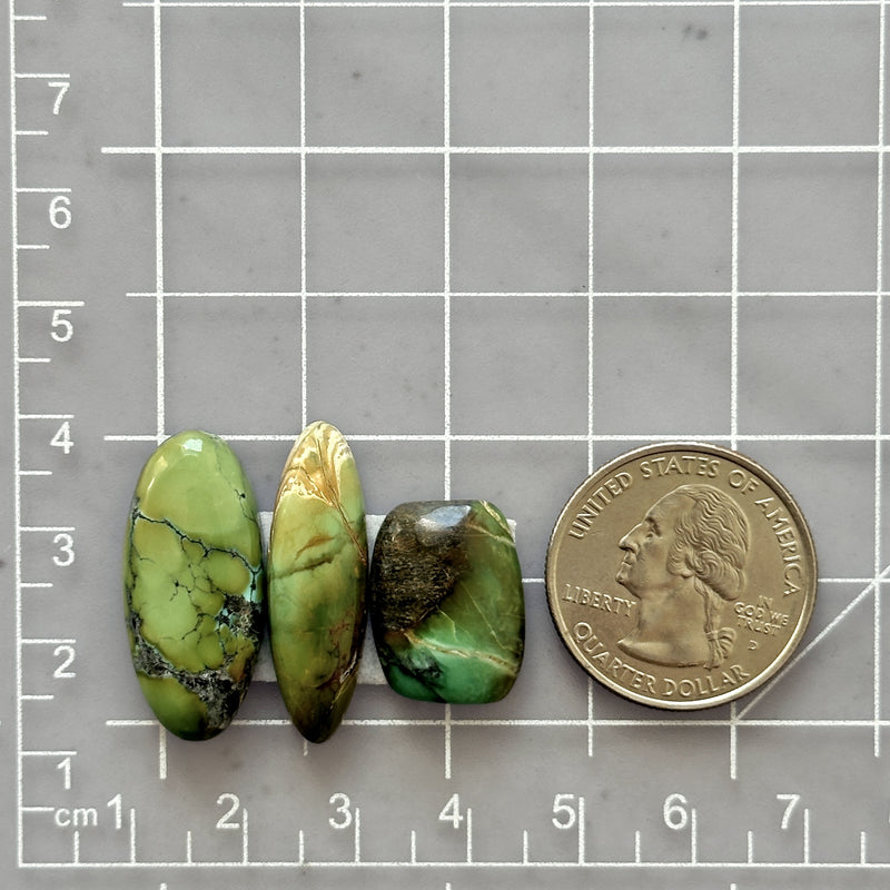 Medium Sea Green Mixed Crescent Lake Variscite, Set of 3 Dimensions
