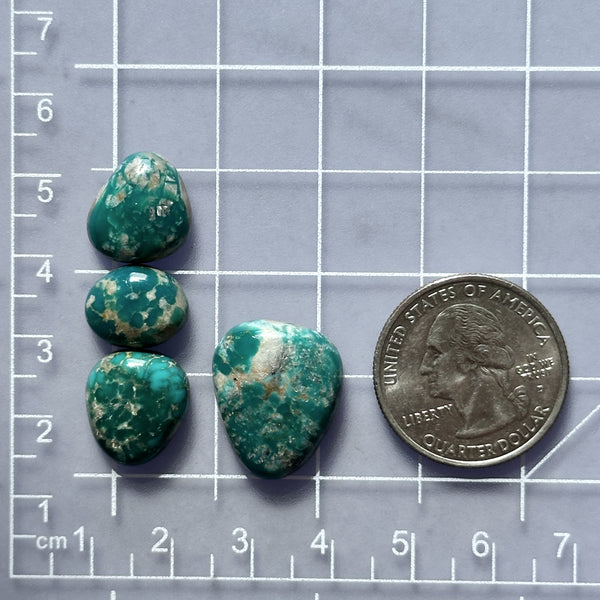 Small Mint Green Freeform Fox Turquoise, Set of 4 Dimensions