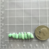 Small Mint Green Mixed Lucid Variscite, Set of 8 Dimensions