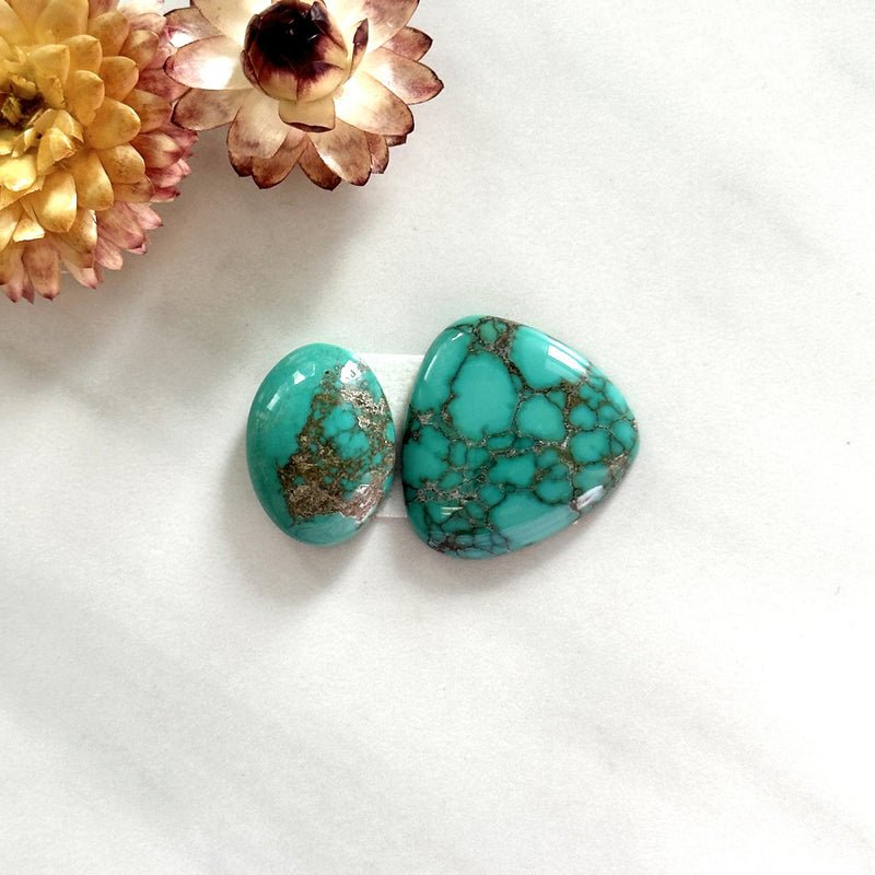 Large Sky Blue Mixed Treasure Mountain Turquoise, Set of 2 Background