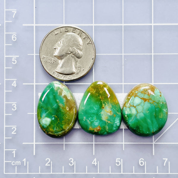 Medium Sea Green Mixed Crescent Lake Variscite, Set of 3 Dimensions