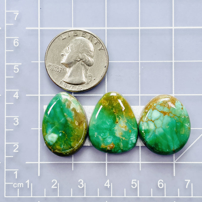 Medium Sea Green Mixed Crescent Lake Variscite, Set of 3 Dimensions