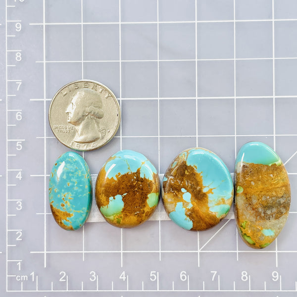 Large Sky Blue Freeform Royston Turquoise, Set of 4 Dimensions