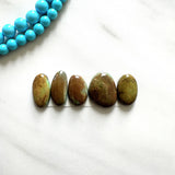 Medium Earth Brown Mixed Crescent Lake Variscite, Set of 5 Background