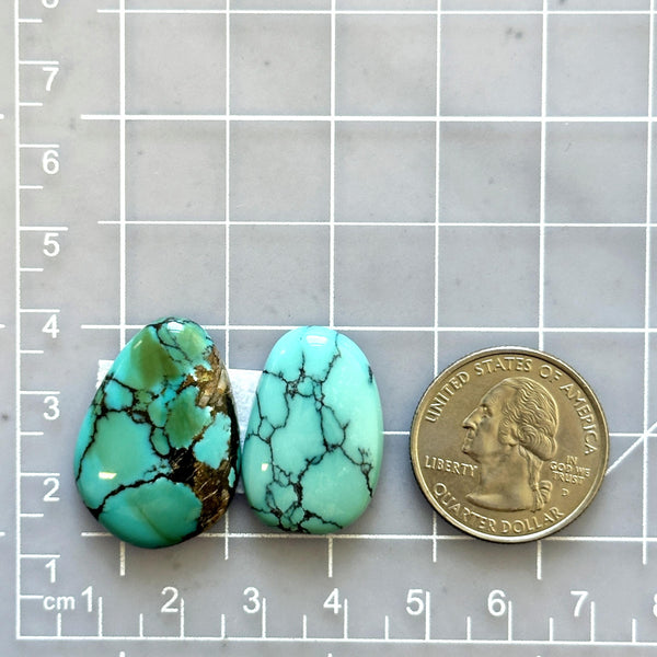 Large Sky Blue Freeform Treasure Mountain Turquoise, Set of 2 Dimensions