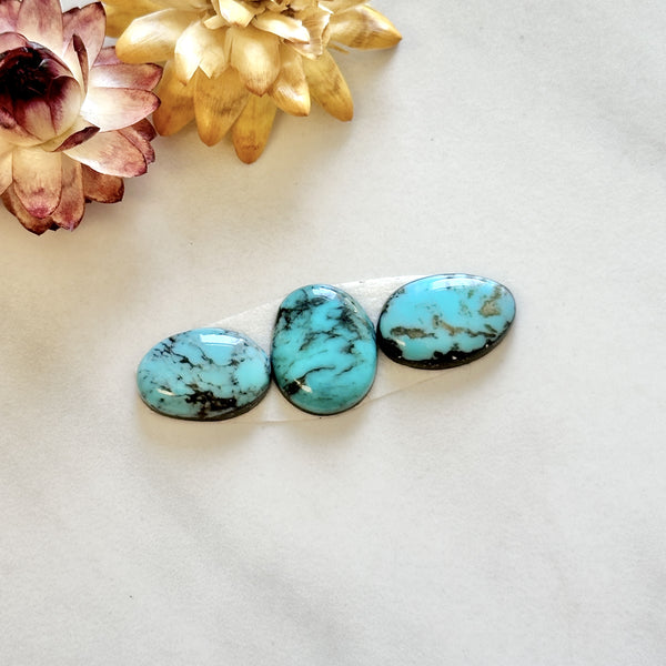Small Sky Blue Freeform Prince Egyptian Turquoise, Set of 3 Background