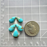 Small Sky Blue Teardrop Ithaca Peak Turquoise, Set of 5 Dimensions