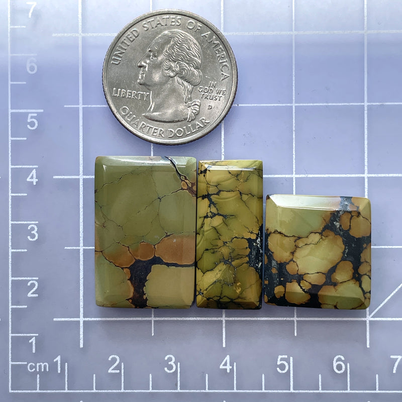 Large Earth Brown Bar Treasure Mountain Turquoise, Set of 3 Dimensions