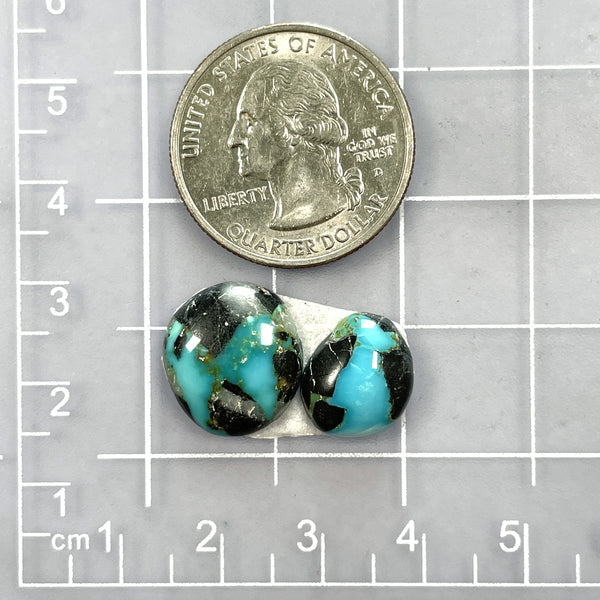 Small Ocean Blue Freeform Blue Moon Turquoise, Set of 2 Dimensions