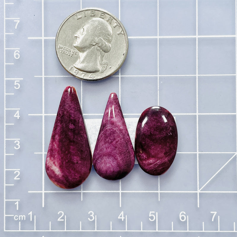 Medium Purple Mixed Spiny Oyster, Set of 3 Dimensions