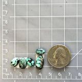 Small Sky Blue Mixed Sonora Turquoise, Set of 5 Dimensions