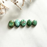 Small Mixed Mixed Crescent Lake Variscite, Set of 5 Background