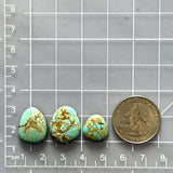 Medium Sky Blue Freeform Number 8 Turquoise, Set of 3 Dimensions