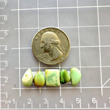 Small Lime Green Mixed Crescent Lake Variscite, Set of 5 Dimensions