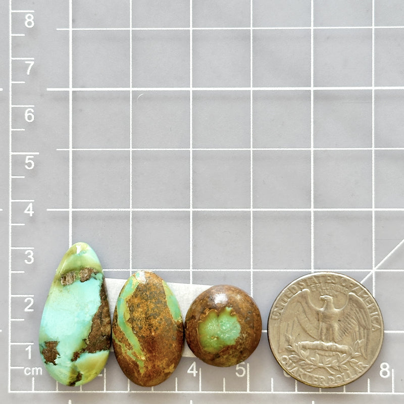 Medium Mixed Mixed Treasure Mountain Turquoise, Set of 3 Dimensions