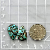 Medium Sky Blue Teardrop Wild Horse Turquoise, Set of 2 Dimensions