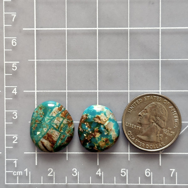 Medium Ocean Blue Freeform Fox Turquoise, Set of 2 Dimensions