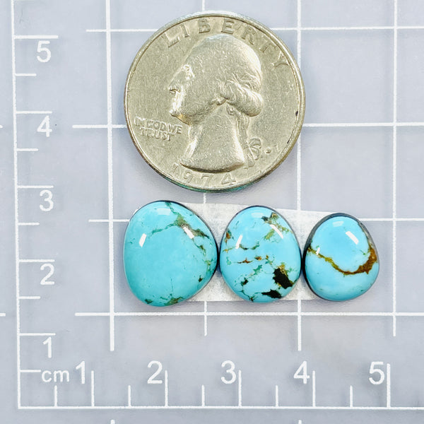 Small Sky Blue Freeform Tyrone Turquoise, Set of 3 Dimensions