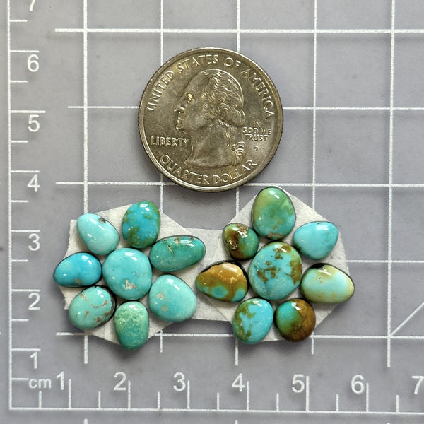 Small Sky Blue Mixed Lone Mountain Turquoise, Set of 16 Dimensions