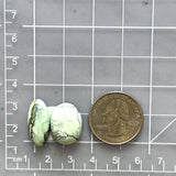 Medium Faint Green Mixed Crescent Lake Variscite, Set of 2 Dimensions