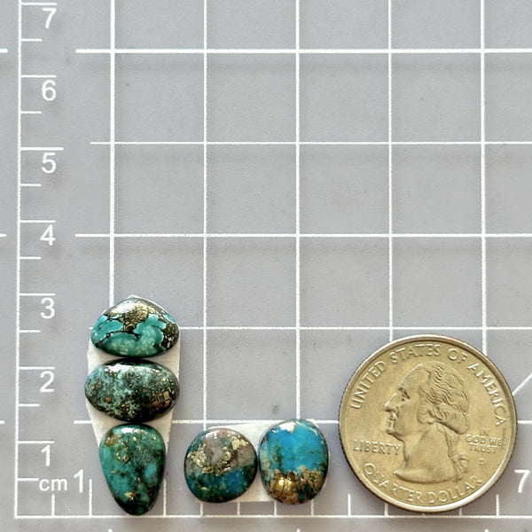 Small Deep Blue Freeform Morenci Turquoise, Set of 5 Dimensions